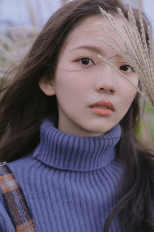 情事hd